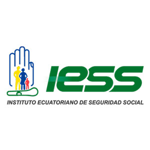 iess300
